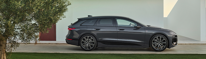 Audi Reunión Regional 2025