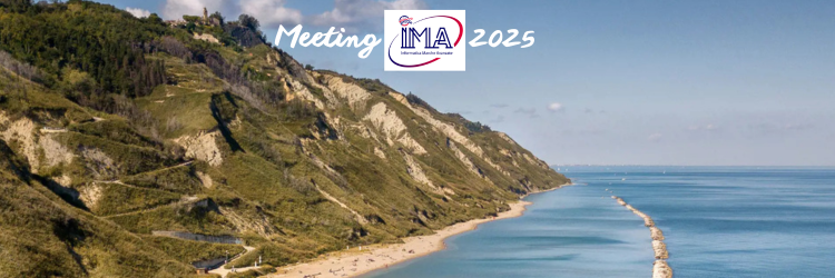 Meeting IMA 2025